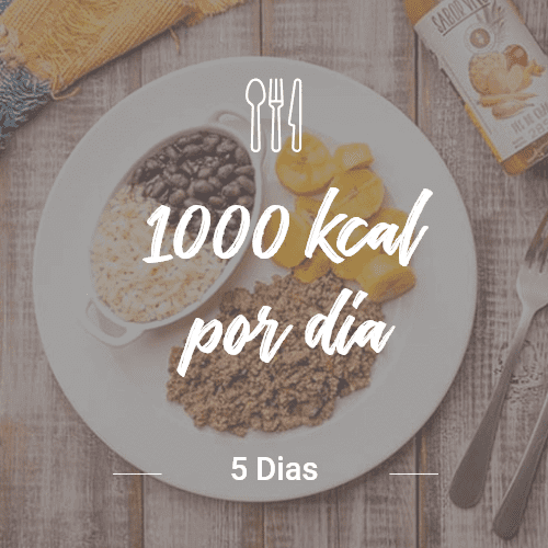 1000 kcal/dia - 5 dias (dia completo) v1