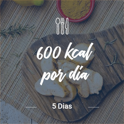 600 kcal/dia - 5 dias (dia completo) v1
